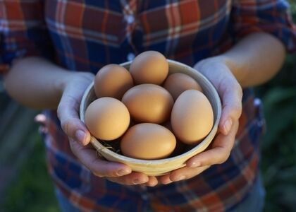 користь курячих яєць